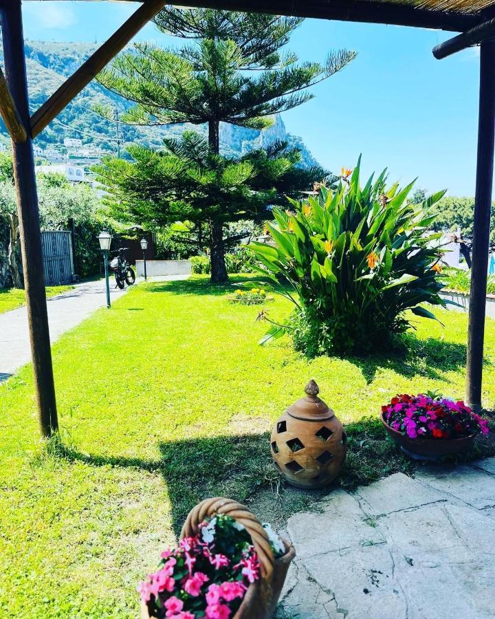 B&B L'Agapanto Capri Eksteriør billede